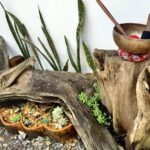 Espacios para tus eventos